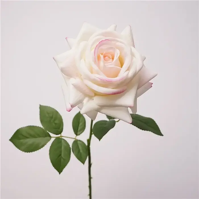 5 pièces sensation hydratante vraie touche Rose fleur fleurs artificielles décor de Mariage