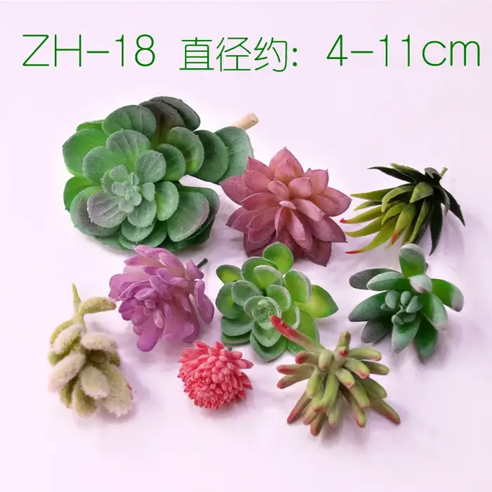 Plantes succulentes artificielles