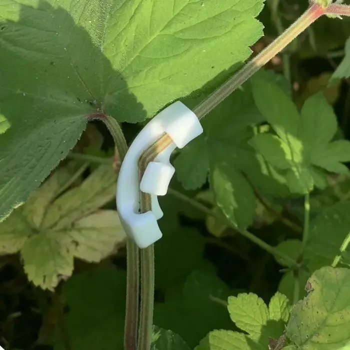 Outil de pliage de branches de bonsaï