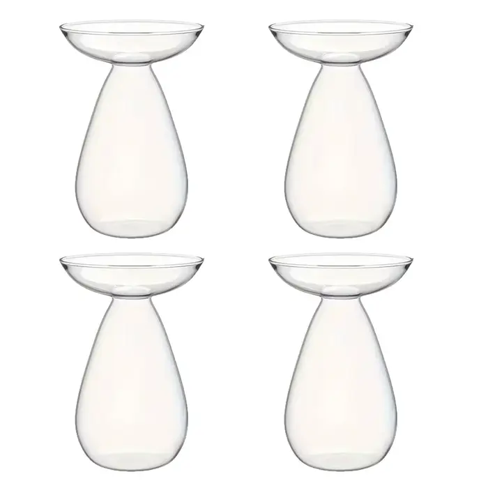 Vase hydroponique d'avocat