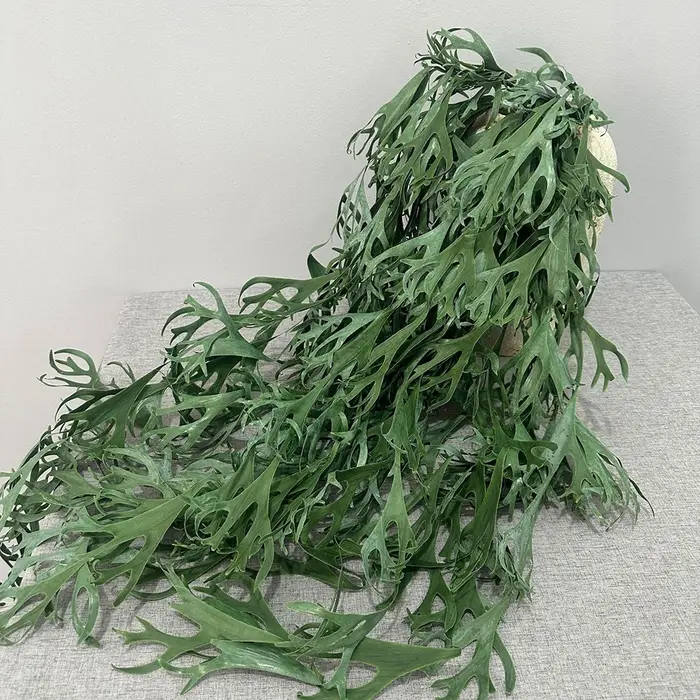Plante artificielle de fougère cornue suspendue, fausse verdure tropicale retombante pour panier mural, décoration bohème pour la maison, le jardin et les mariages