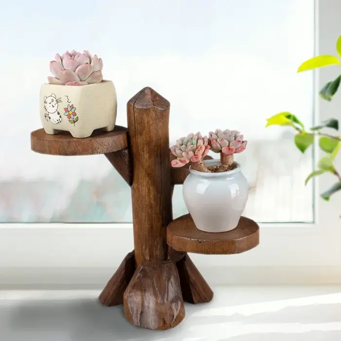 Support pour plantes succulentes en bois fait à la main