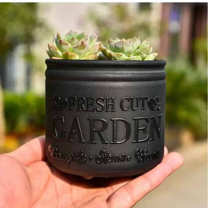 Pot de fleurs rond pour plantes succulentes