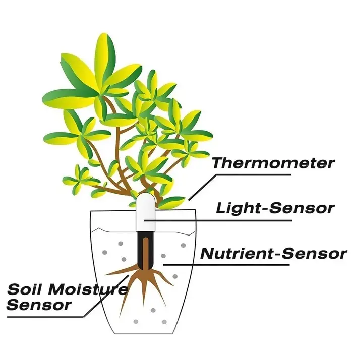 HHCC Flora Monitor : Testeur intelligent de fertilité du sol