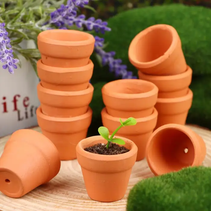 Mini jardinière en argile avec trous de proximité