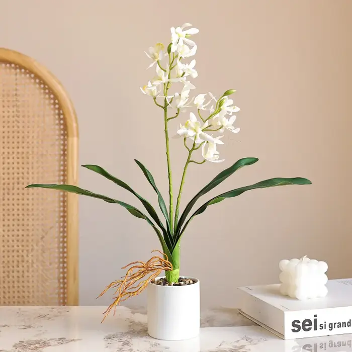 Orchidée papillon au toucher de la main avec feuilles