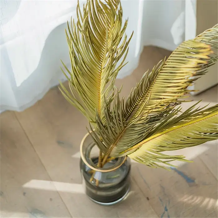 Branche de Sago Cycas de plantes naturelles séchées