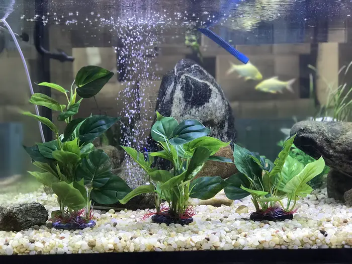 Plantes artificielles de décoration d'aquarium