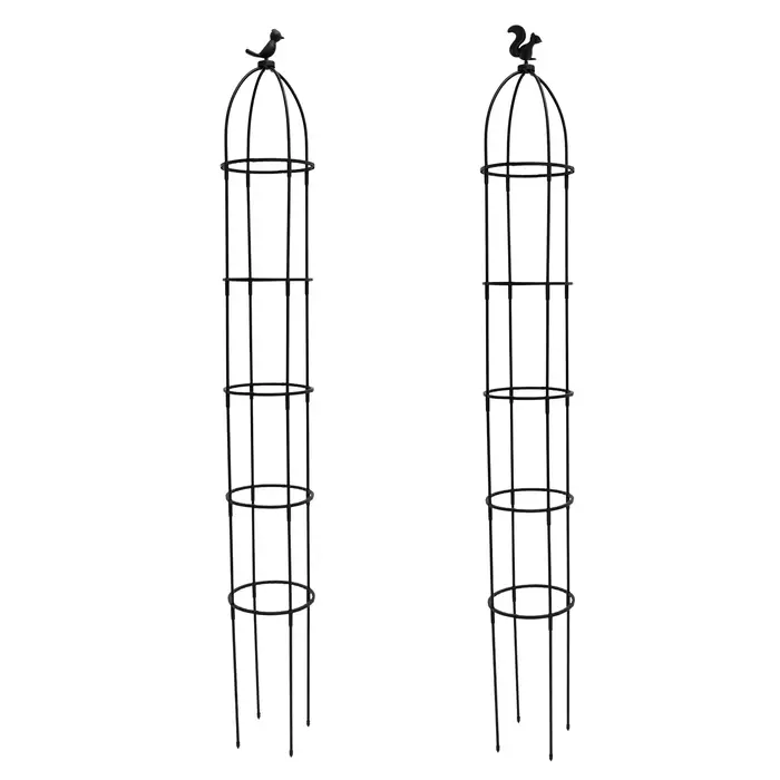 Lot de 2 obélisques de jardin pour plantes grimpantes, structure de support détachable pour plantes,