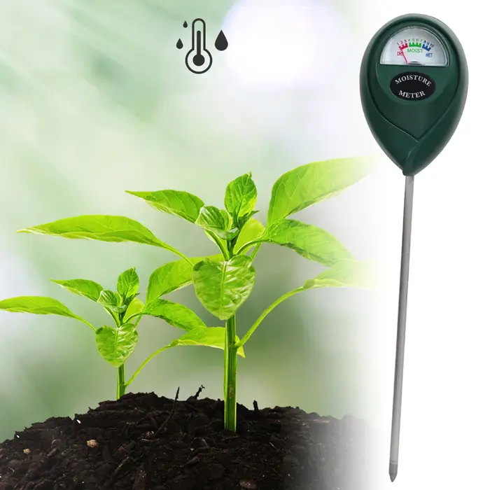 Moniteur d'eau pour plantes