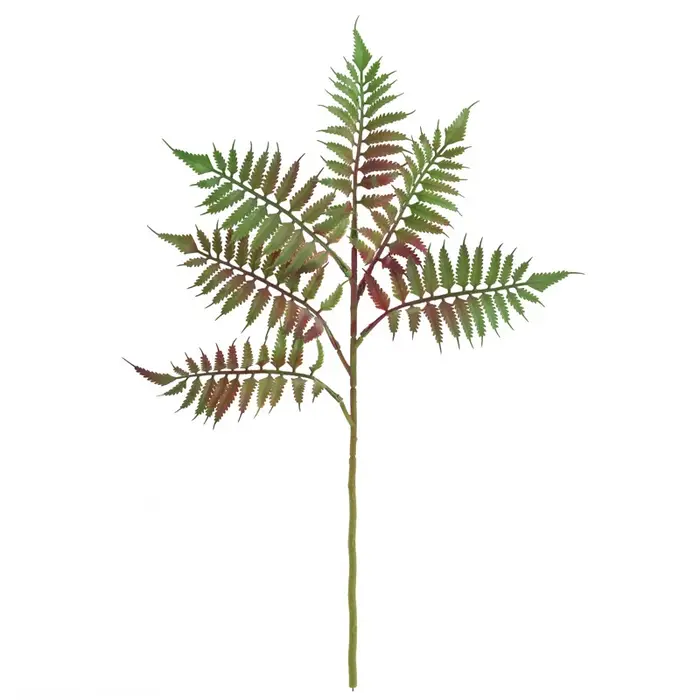 Fougère Artificielle en Plastique, Fausse Fleur, Cuir oral elu, Queue de Phénix, Feuilles, Simulatio