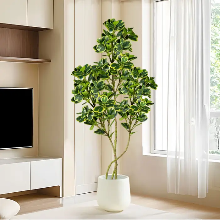 Arbre Ficus artificiel 76cm/115cm