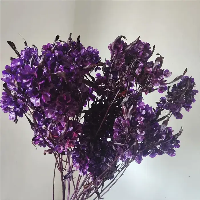 Bouquet de fleurs d'iris séchées