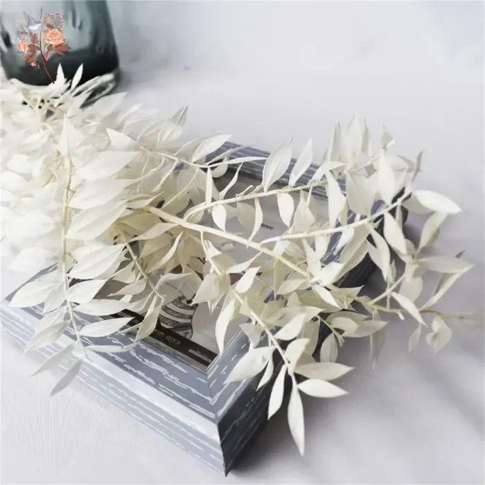 Bouquet de 50g de feuilles d'eucalyptus Ruscus artificielles séchées, décoration pour la maison et le jardin, plantes préservées, tiges de branches, arrangement de mariage