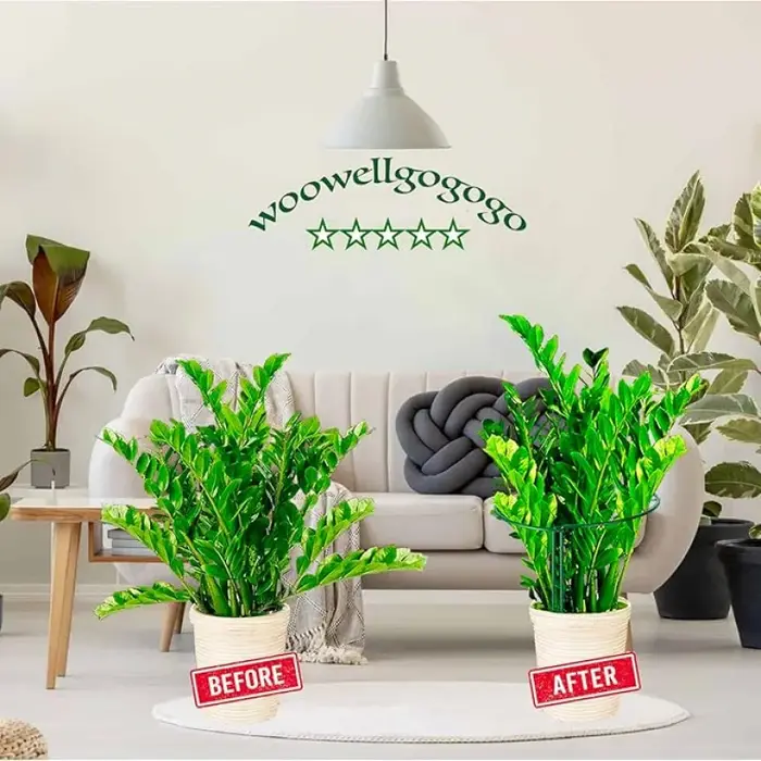 Support de treillis métallique semi-circulaire 35 cm (6-12 pièces) pour plantes d'intérieur