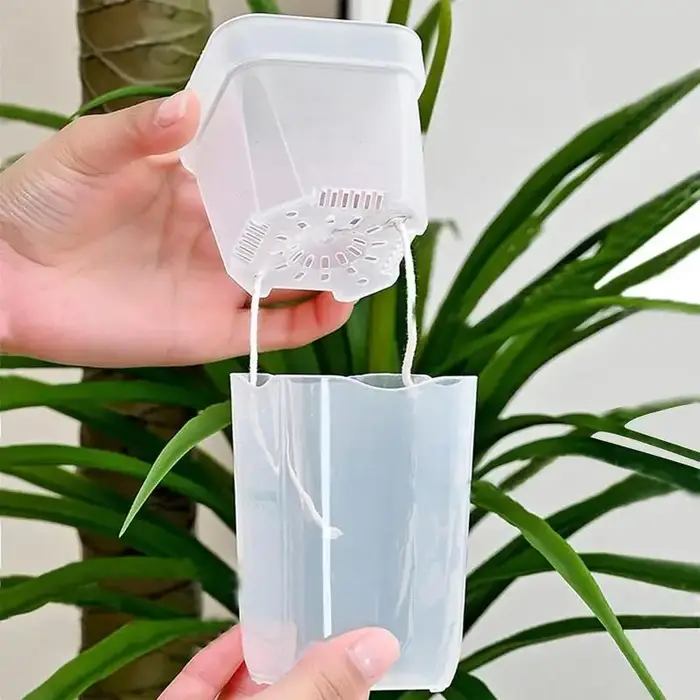 5 pots de plantes auto-arrosants