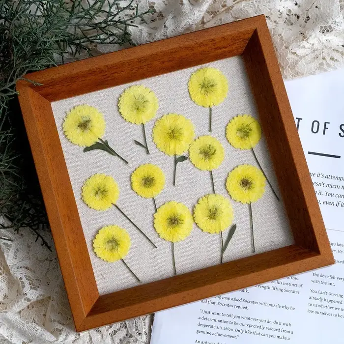 12 pièces/6-9 cm, nature Helichrysum pressé fleurs séchées bricolage bougie résine aromathérapie incrusté plante cadre Photo matériaux artisanaux