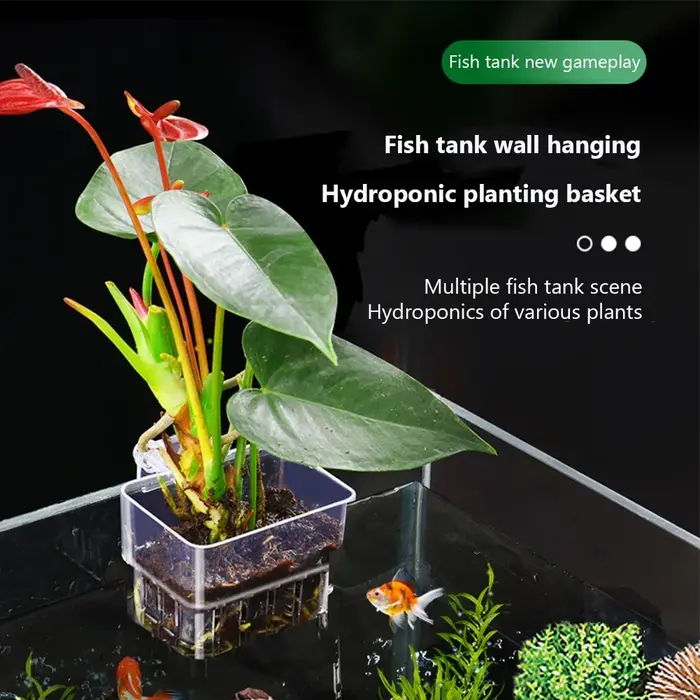 Panier de plantes d'aquarium Transparent