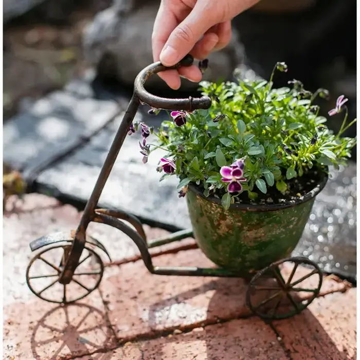 Jardinière de fleurs de vélo Vintage