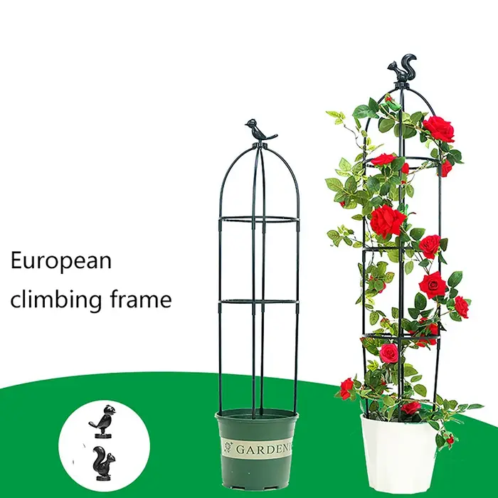 1 Ensemble de treillis de support pour plantes grimpantes