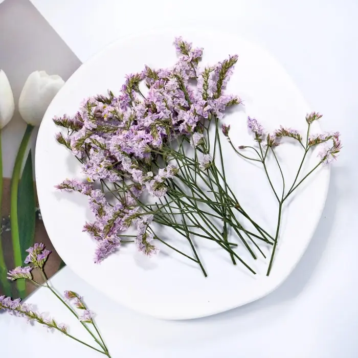 6 pièces, fleurs séchées pressées en herbe de cristal véritable