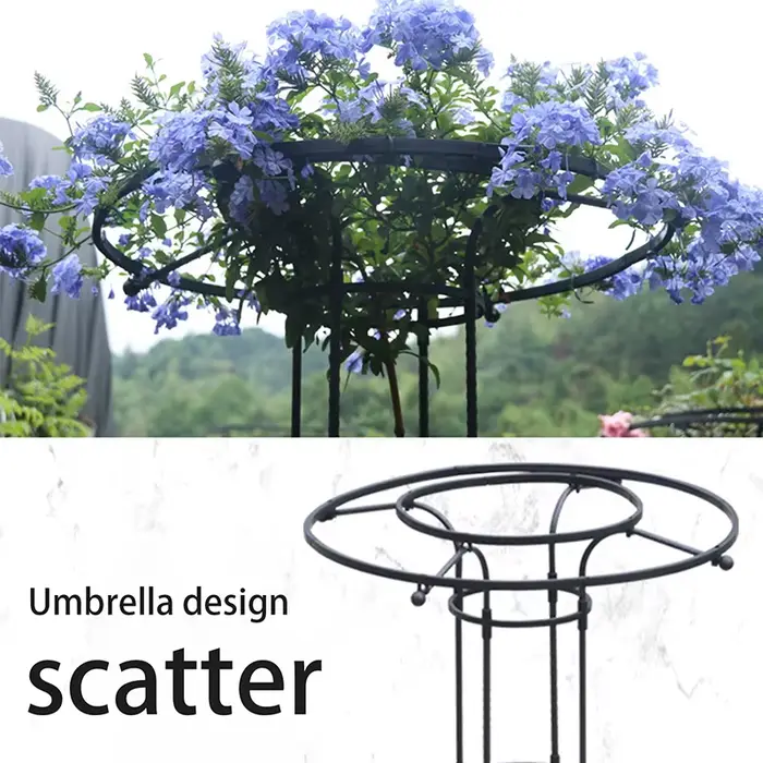 Treillis de Jardin pour Plantes Grimpantes