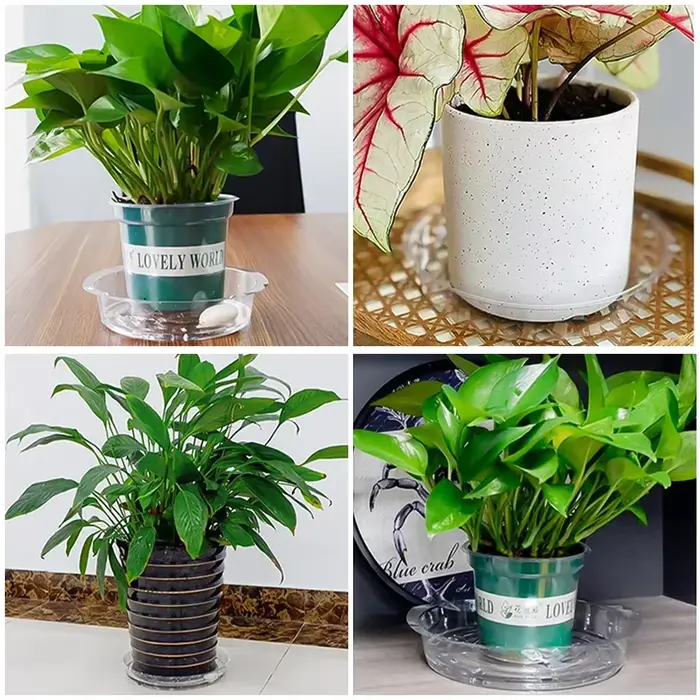 Soucoupe pour plantes de jardin