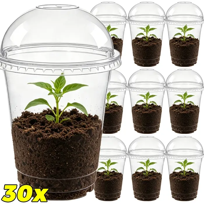 Pot de culture transparent avec couvercle
