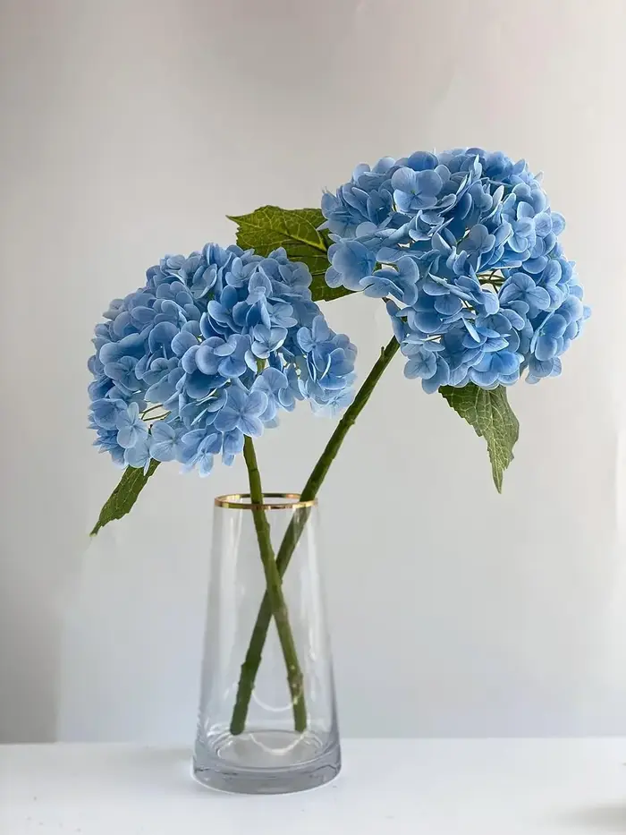 Beau bouquet d'hortensias pour la décoration de la maison