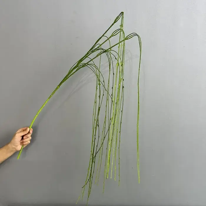 Simulation de plantes de saules pleureurs