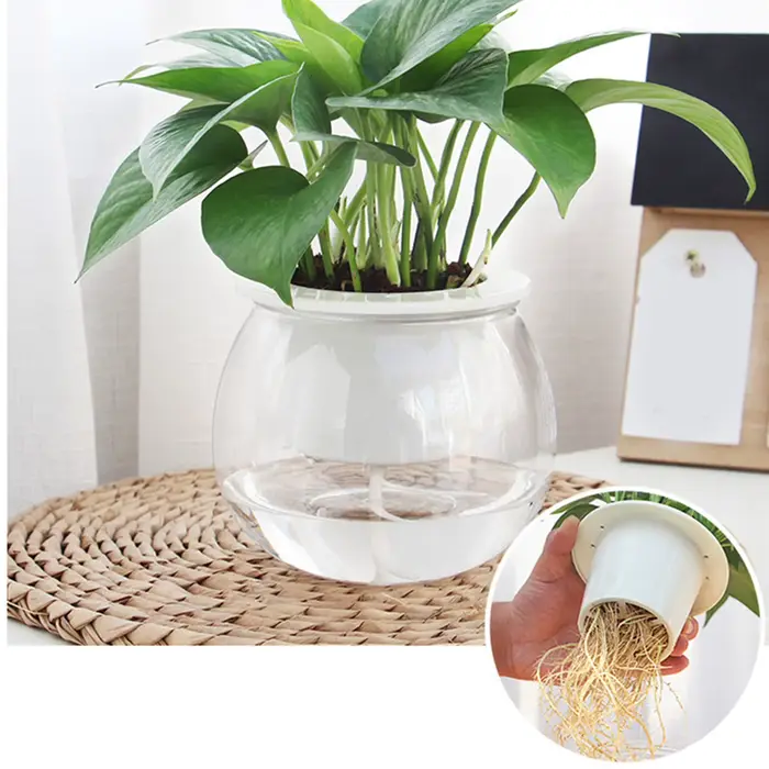 Mini Pot rond pour plantes succulentes