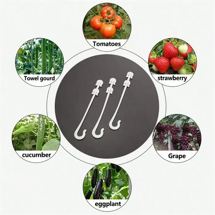 Lot de 20 crochets pour plantes et fruits