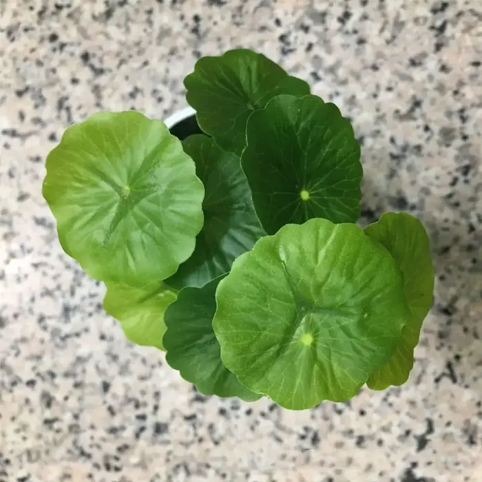 Plantes Artificielles de Simulation de Petit Cuir oral elu Annie, Argent, Faux Cuir oral elu, Décor de Vase Hydroponique, Poisson Précieux, DIY