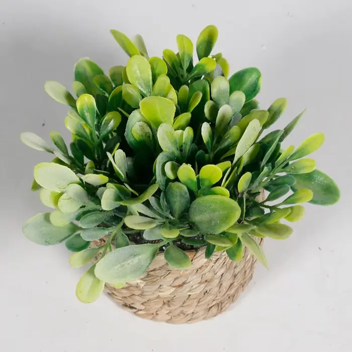 Plante artificielle verte en pot