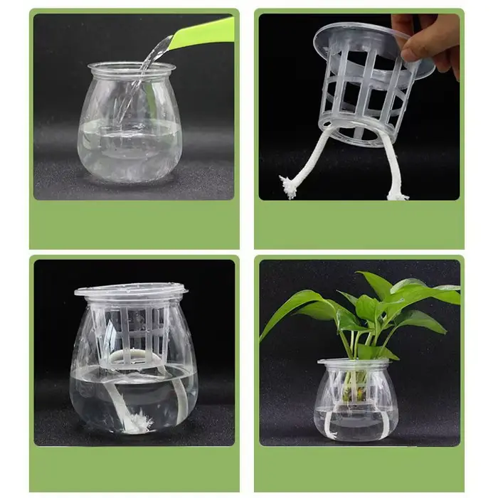 Filet en maille hydroponique sans sol, 50 pièces, panier pour plantes, légumes, tasse de pépinière, 