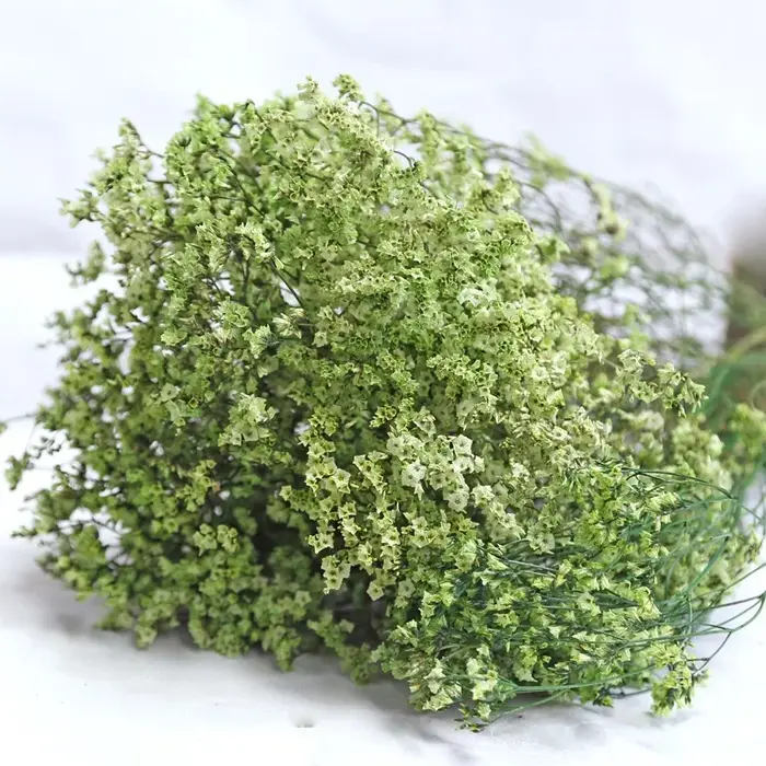 Fleurs naturelles séchées et conservées