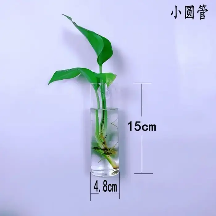 Vase à fleurs mural en verre minimaliste moderne, créatif, suspendu, hydroponique, cylindrique, carr