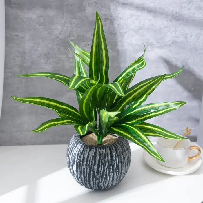 Faux combo d'agave en plastique pour la décoration intérieure et le jardin