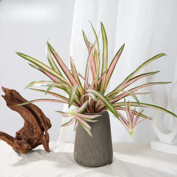 Lot de 5 plantes artificielles Chlorophytum Comosum en plastique pour mariage
