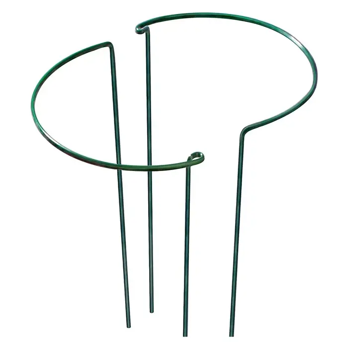 Piquets de Support de Plante en Métal Robuste
