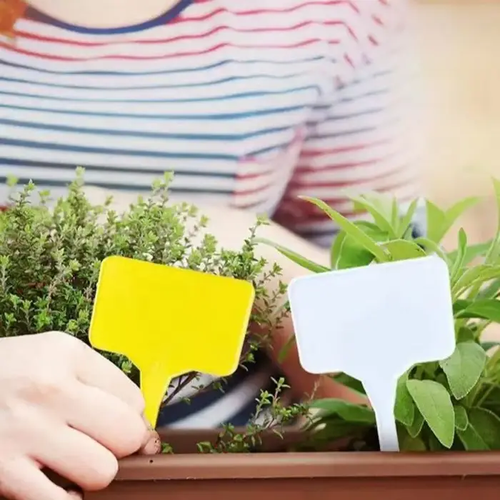 Étiquettes pour plantes de jardin 100 pièces