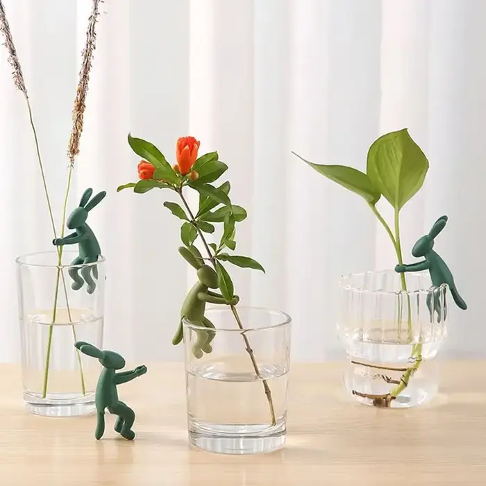 Propagation de plantes en Silicone