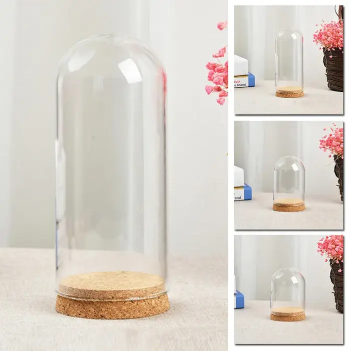 Couvercle de dôme en verre pour plantes succulentes