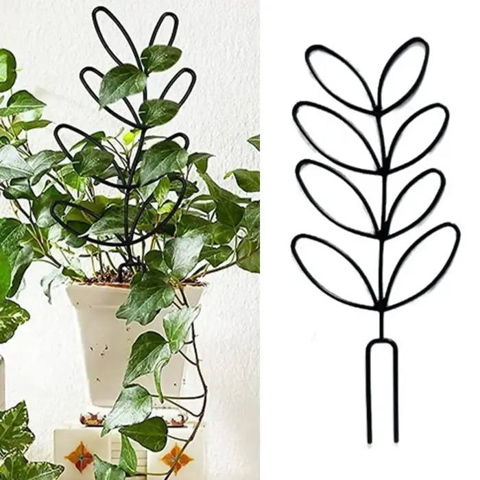 Treillis pour plantes grimpantes