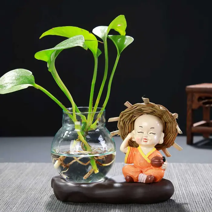 Vase en verre belle plante transparente Terrarium