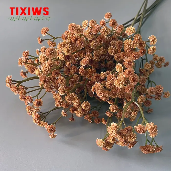 Fleur séchée Gypsophila de 62 cm de haute qualité