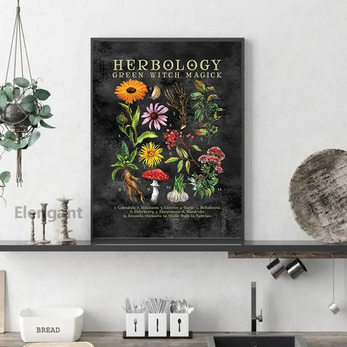 Impression de plantes de racine de Mandrake, affiche d'illustration, peinture sur toile, décor de cuisine et de sorcière, chambre plus lente, gestion de sorcellerie verte