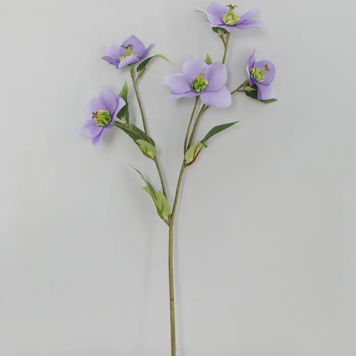 Branche de fleur de cloche de Noël
