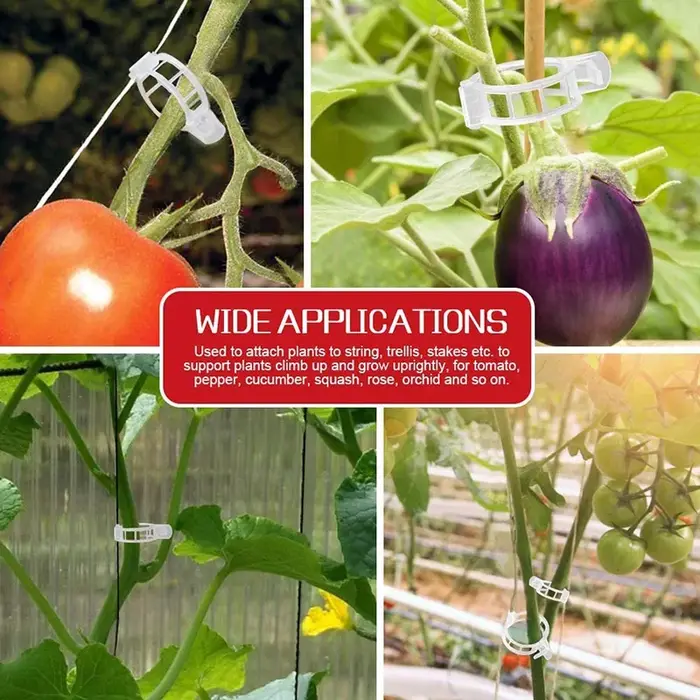 Clips de Support en Plastique pour Plantes de Jardin