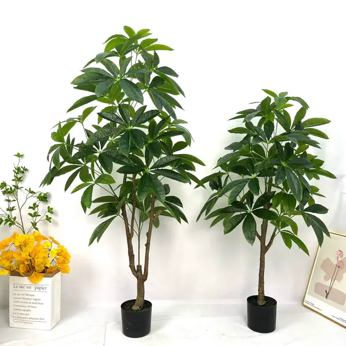 Grande plante verte sur pied en pot